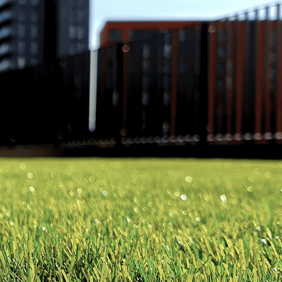 Сделали свои дворы чистыми